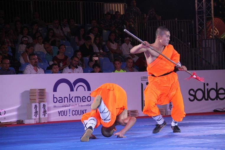 Martial Arts Festival